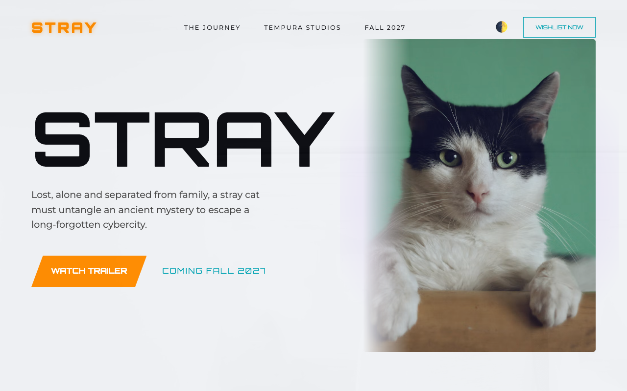 STRAY Product launch template preview
